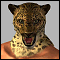 L'avatar di tiger88