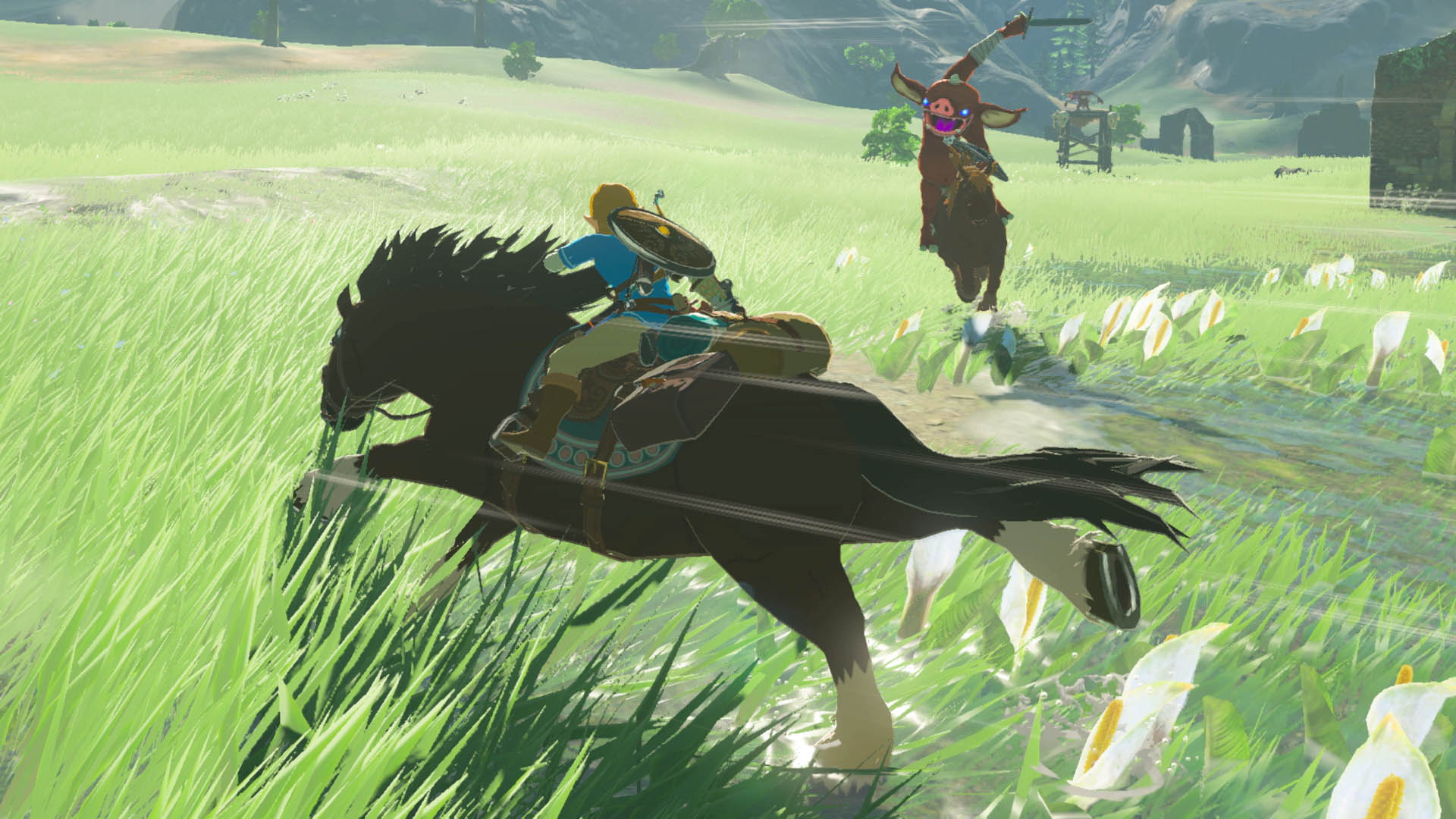 zelda breath of the wild