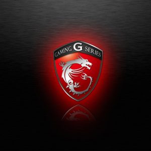 MSI