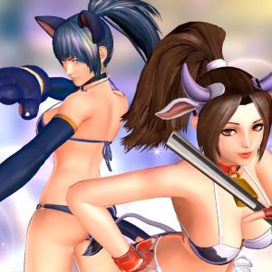 SNK Heroines; Tag Team Frenzy