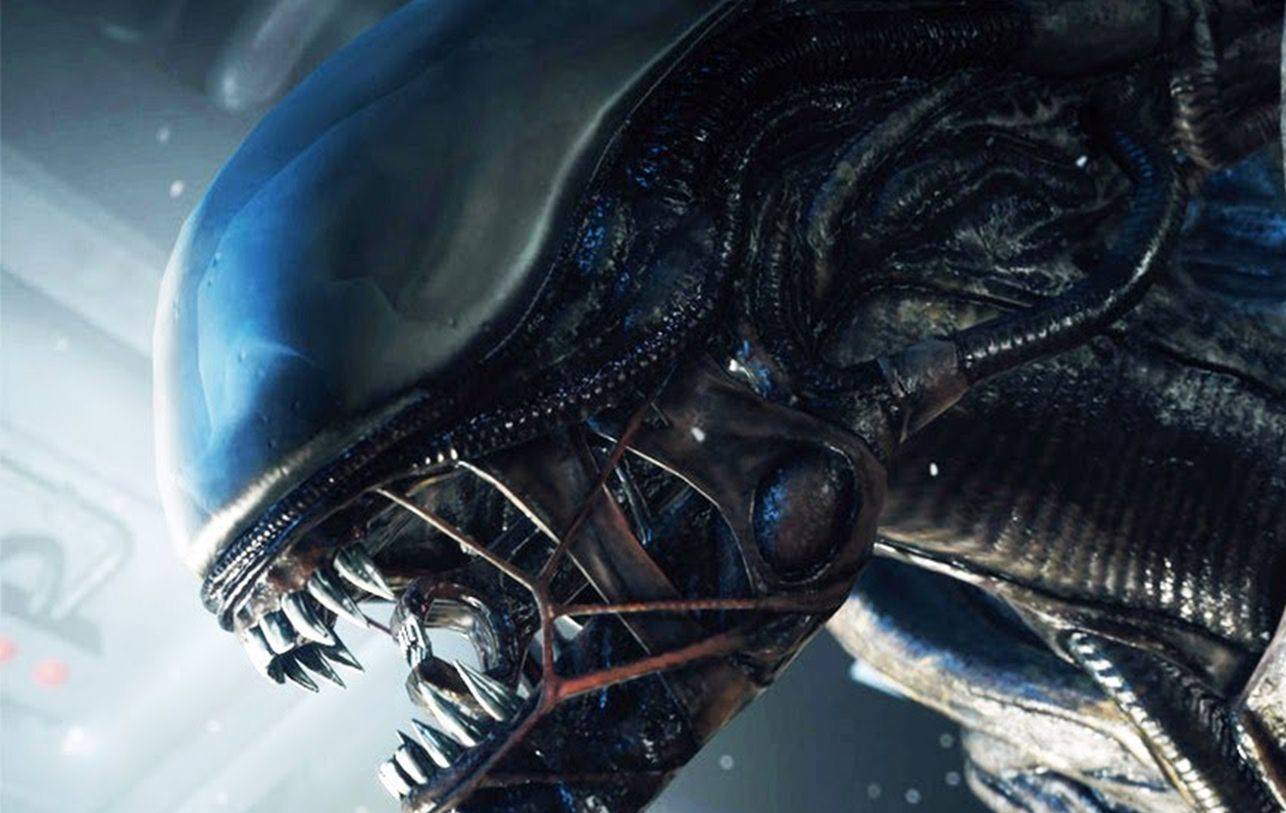 xenomorfo