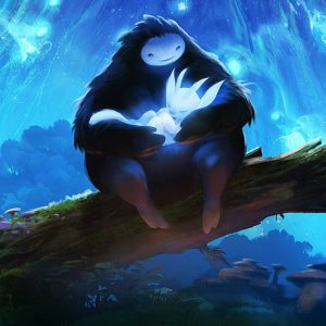 ori and the blind forest definitive edition