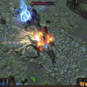 Path of Exile