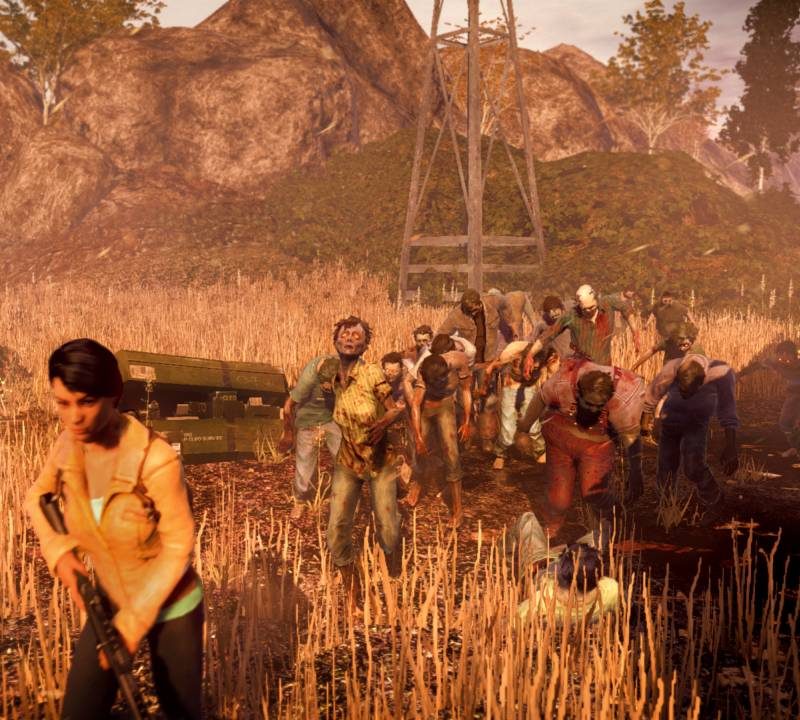 state of decay