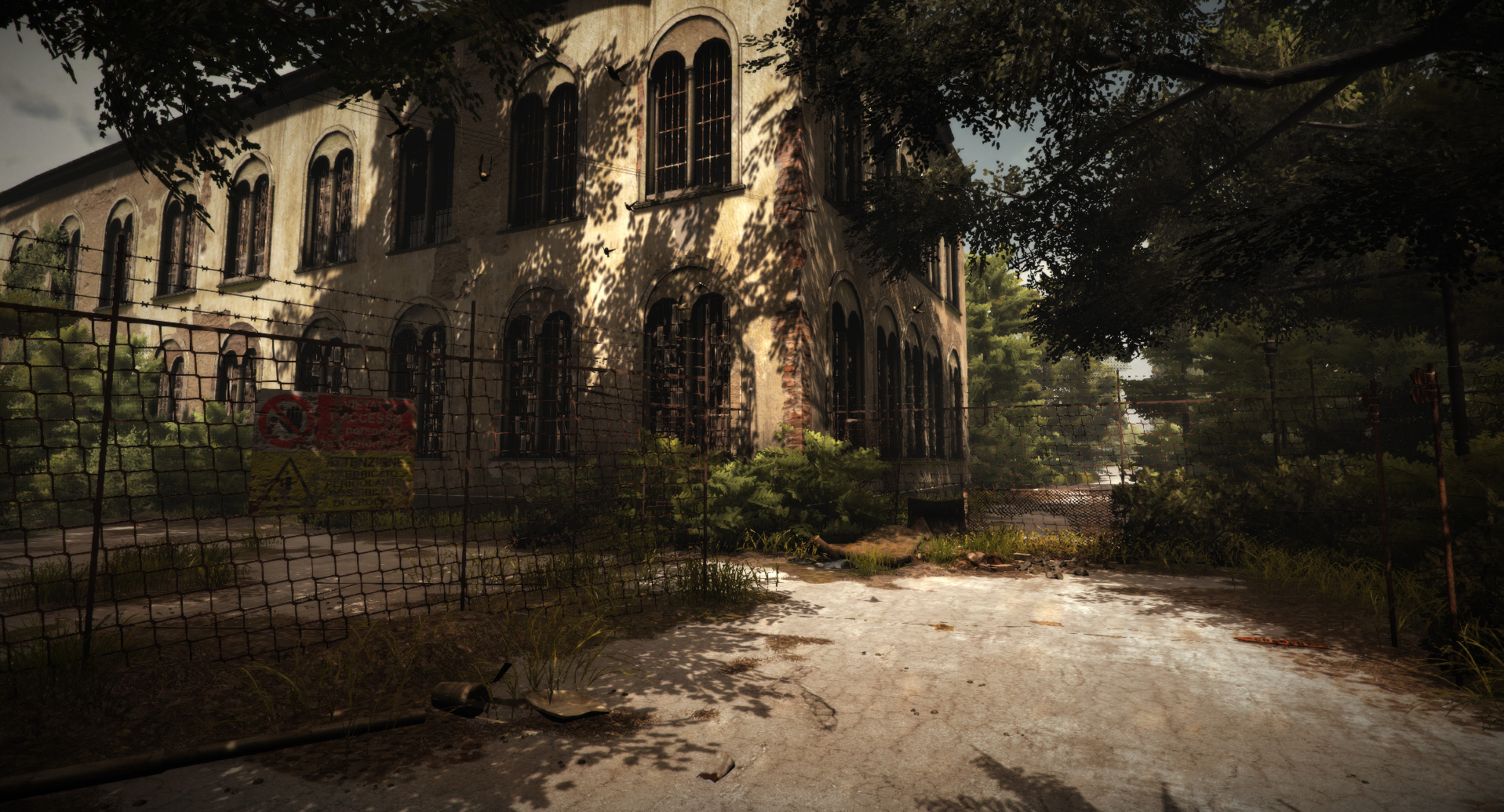 The Town Of Light