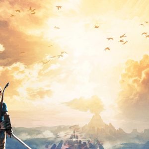 the legend of zelda: breath of the wild