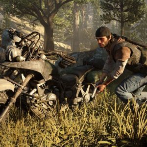 Days Gone