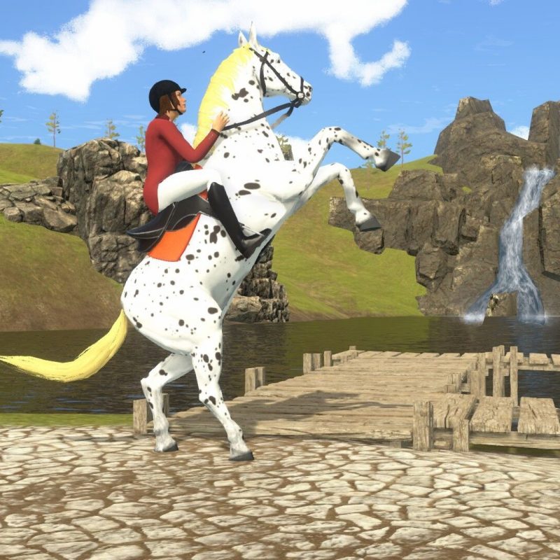 My little riding Champion