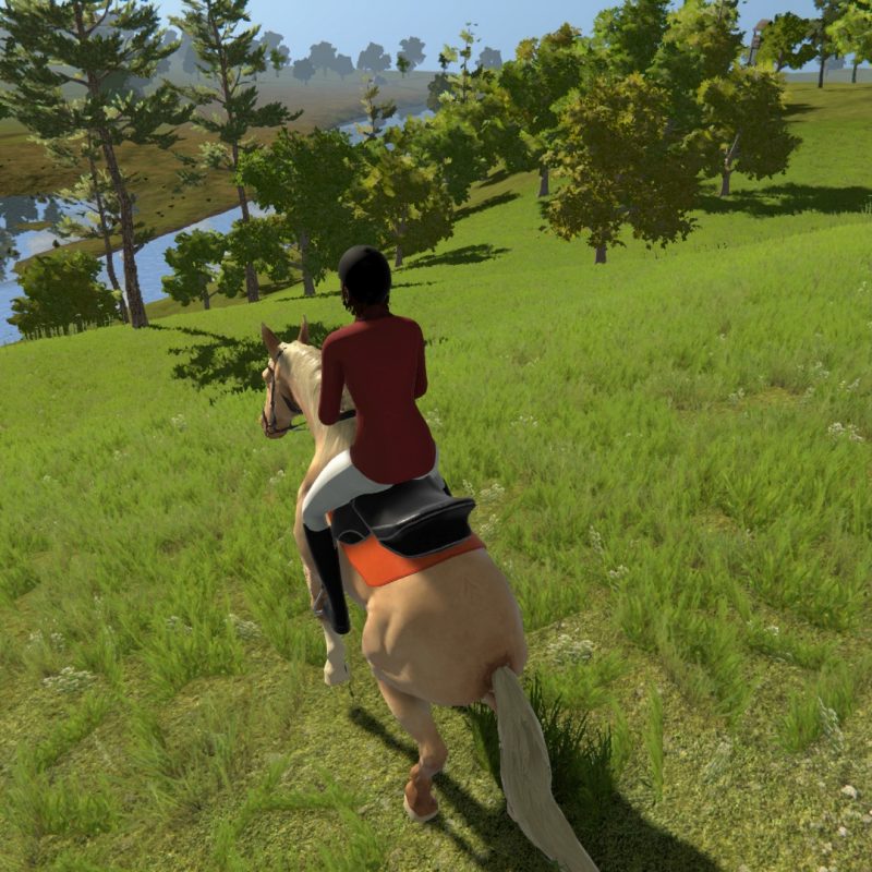 My little riding Champion