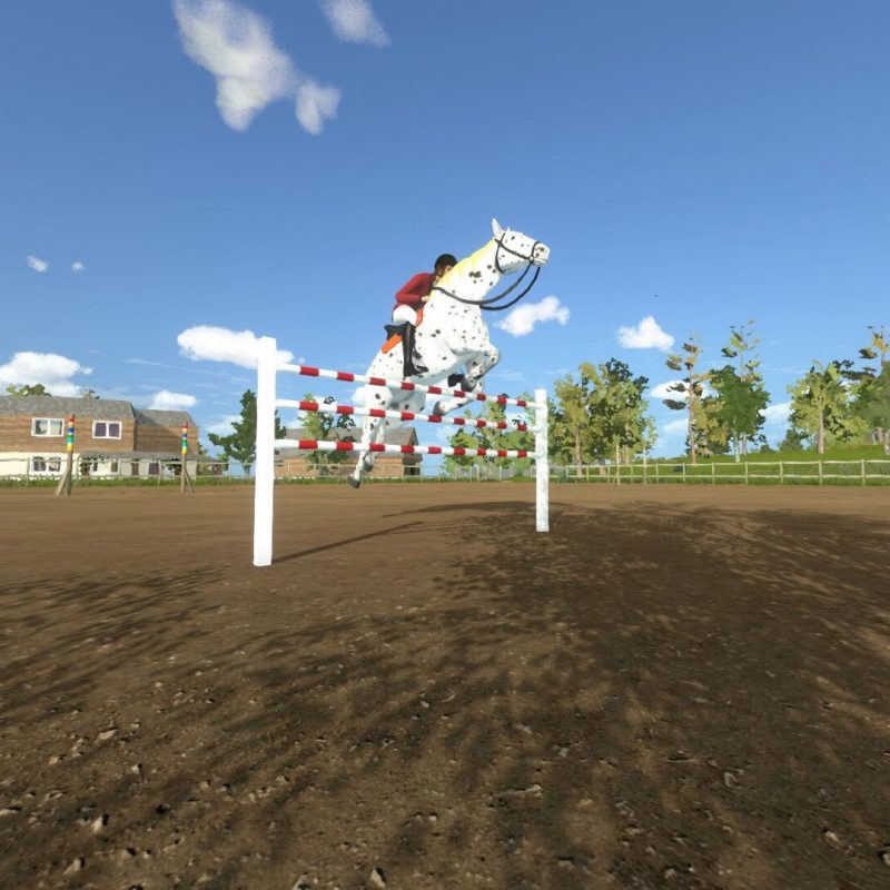 My little riding Champion