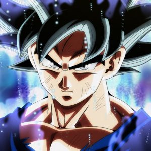 Dragon Ball Super Goku
