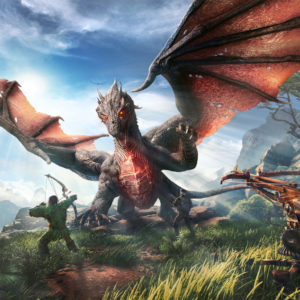 Ark Park