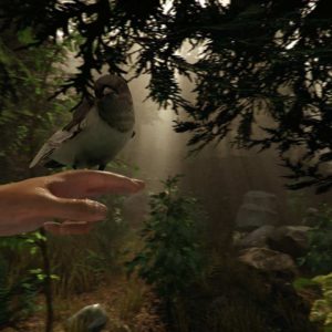 The Forest