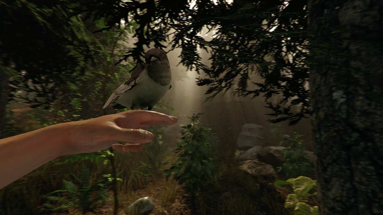 The Forest