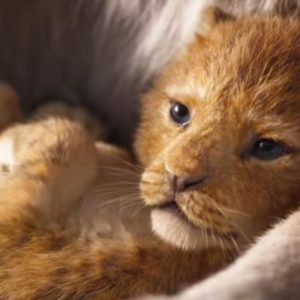 il re leone