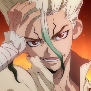 Dr. Stone