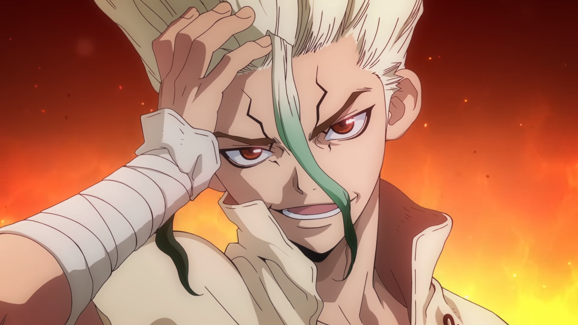 Dr. Stone