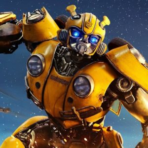 Bumblebee 10122018