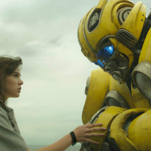 Bumblebee 25122018