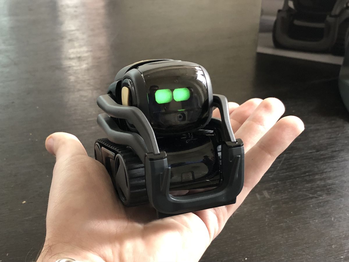 Anki Vector Robot