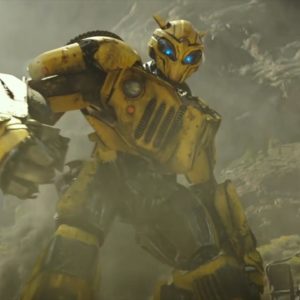 Bumblebee 25122018