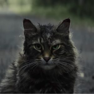 pet sematary