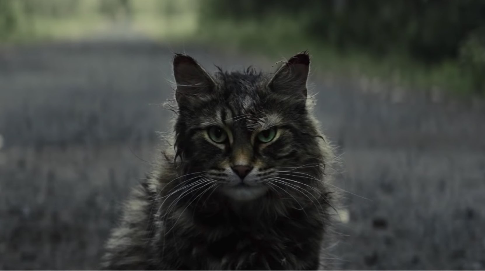 pet sematary