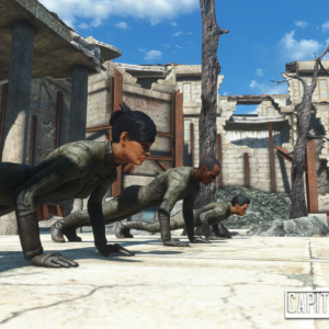 the capital wasteland