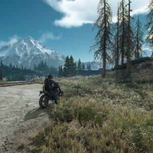 Days Gone