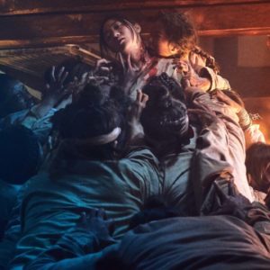 Kingdom 01022019