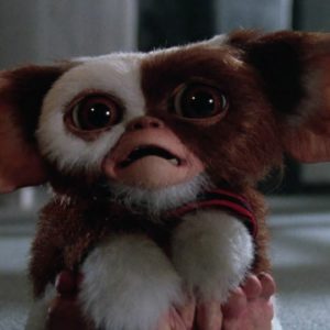 Gremlins 26022019