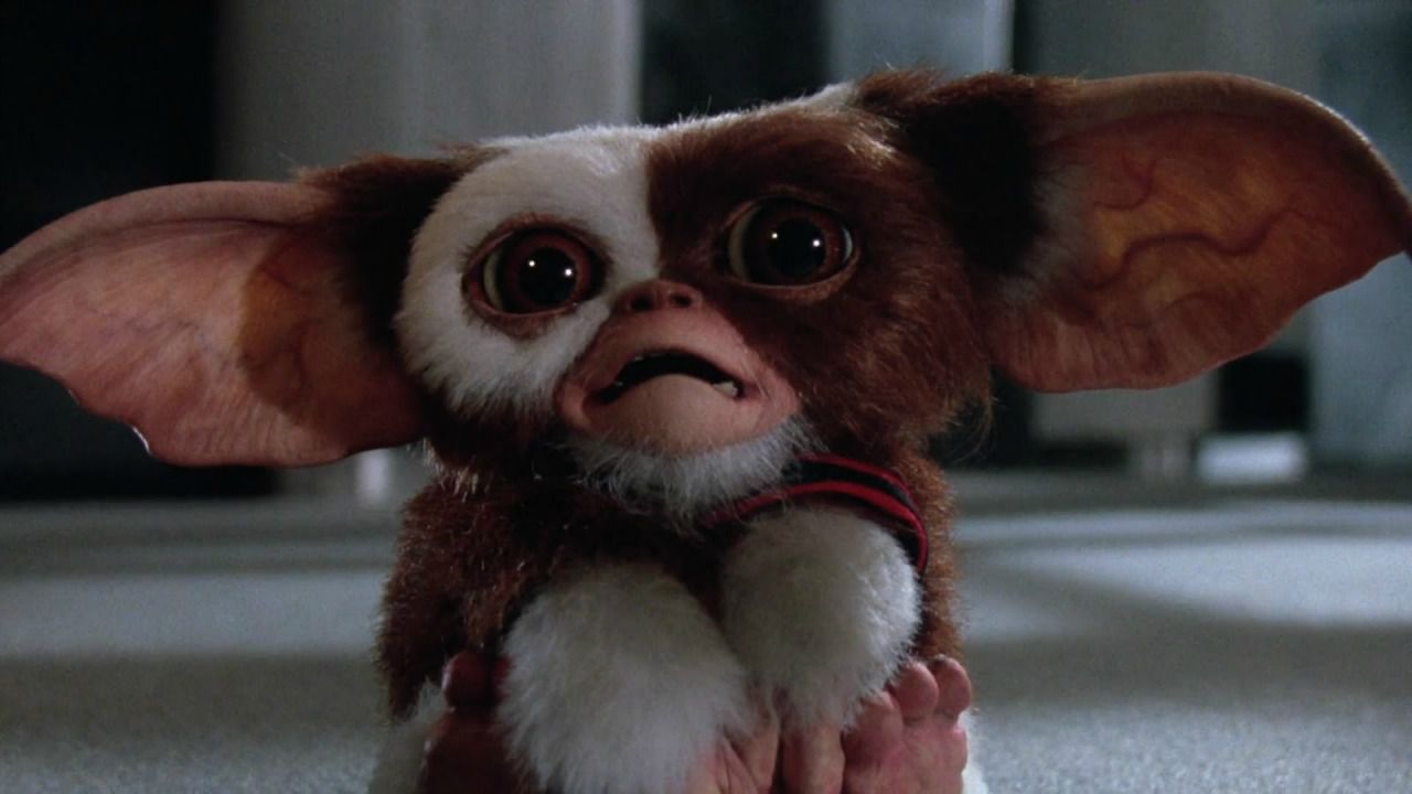 Gremlins 26022019