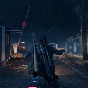 Days Gone