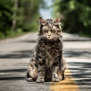 Pet Sematary