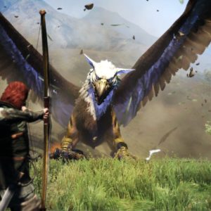 Dragon's Dogma 4