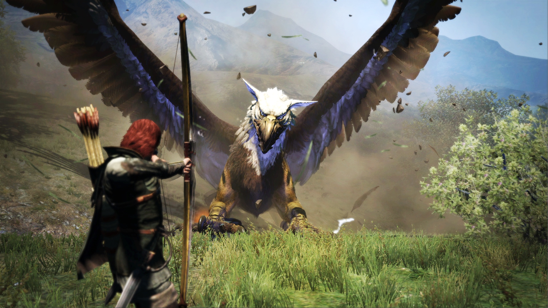 Dragon's Dogma 4