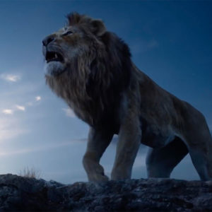 Il Re Leone