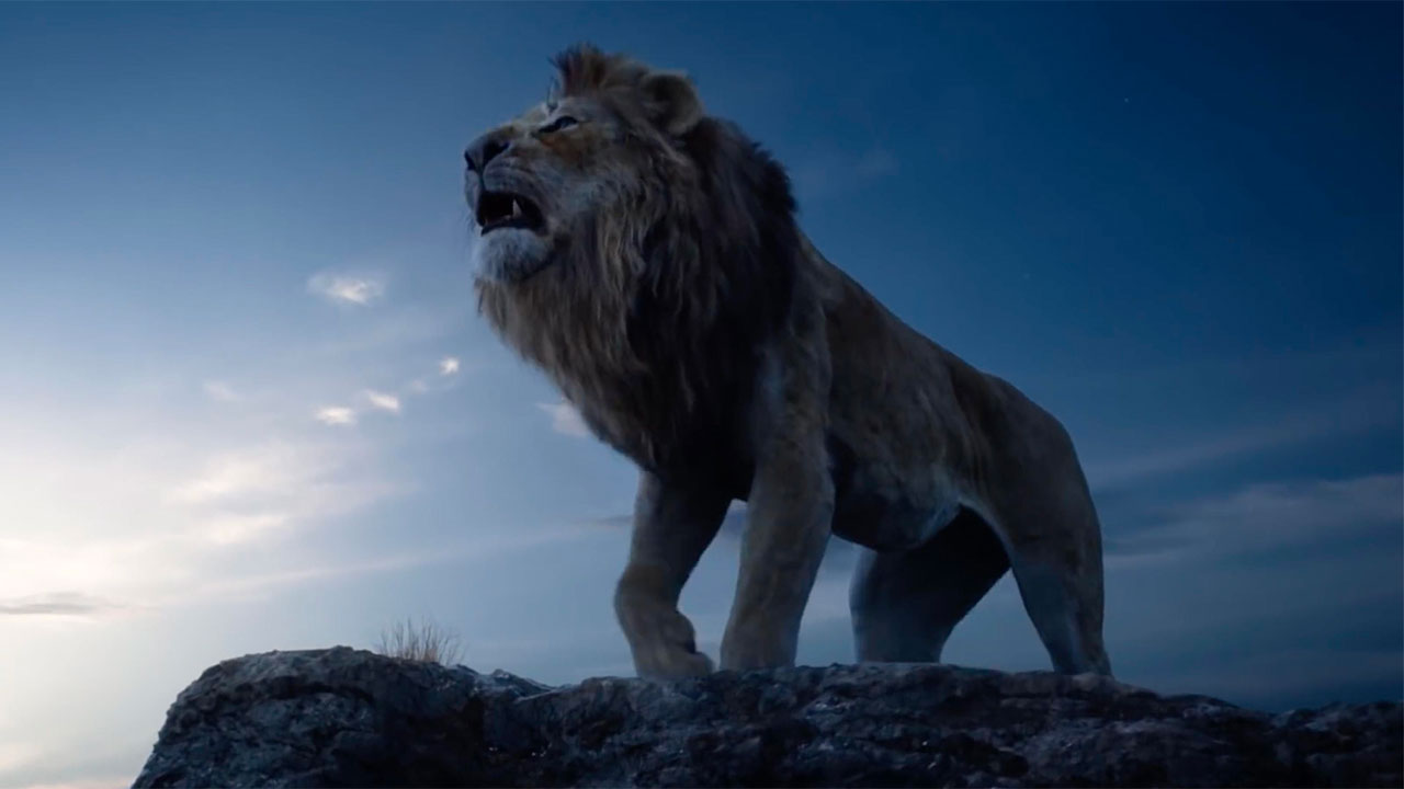 Il Re Leone