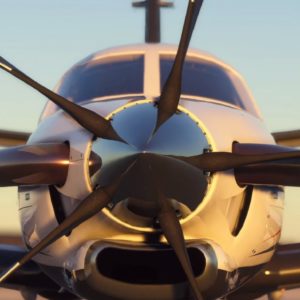 Flight Simulator