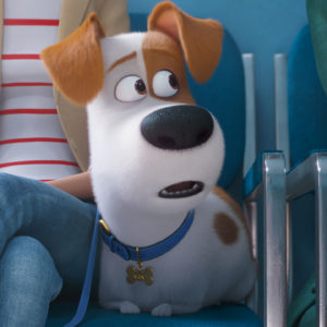 Pets 2