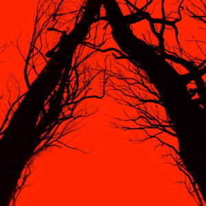 Blair Witch
