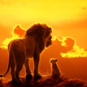 Il Re Leone