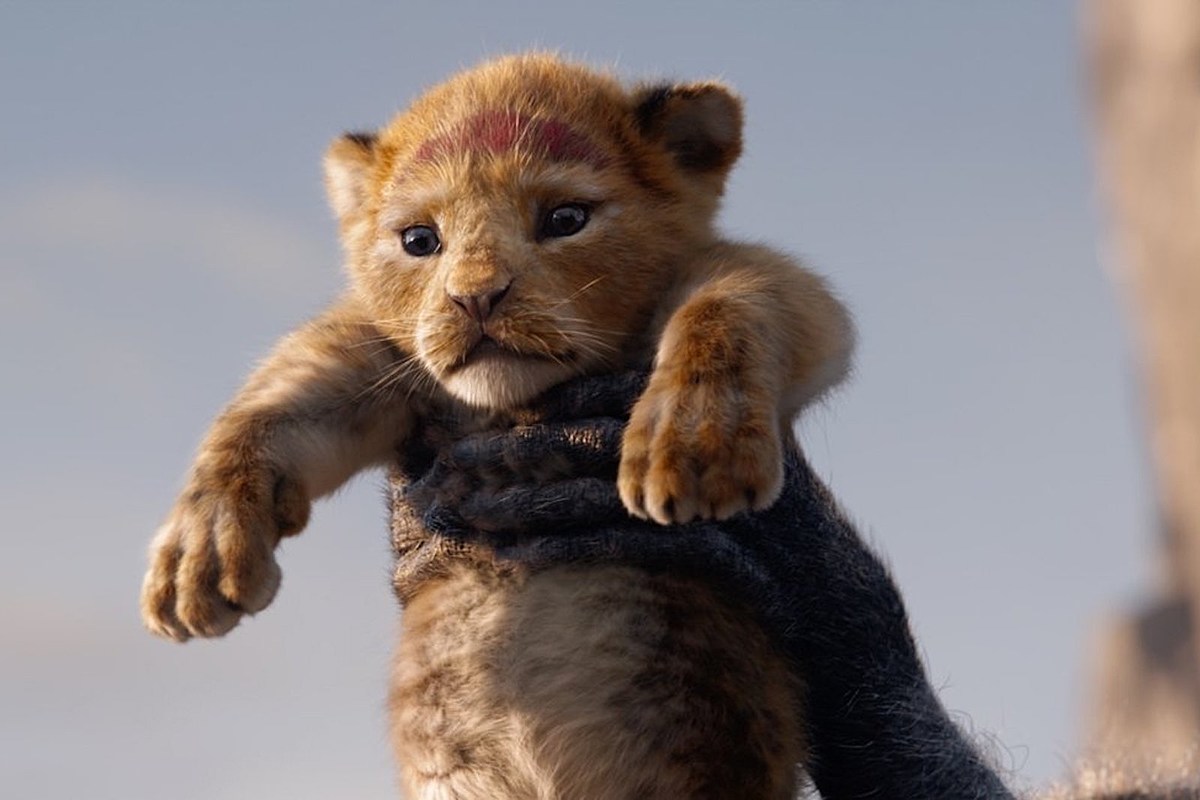 Il Re Leone Disney