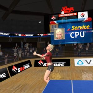 VR Ping Pong Pro