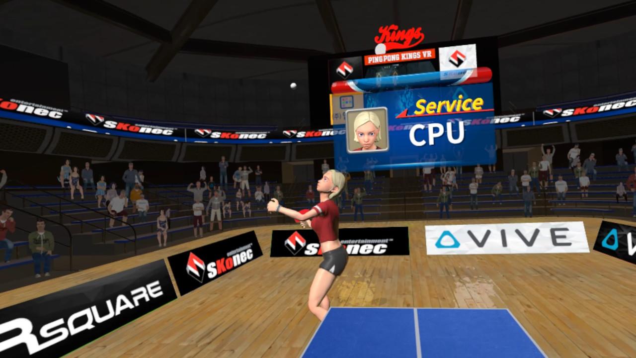 VR Ping Pong Pro