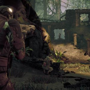 Predator Hunting Grounds