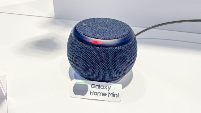 Galaxy Home Mini