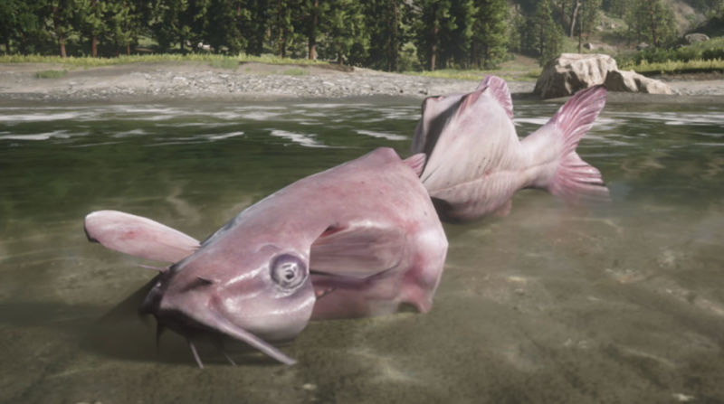 Red Dead Redemption 2 Catfish