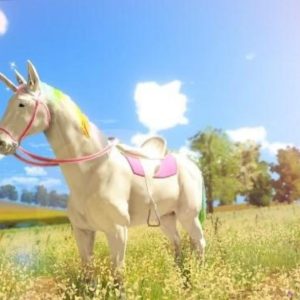 The Unicorn Princess