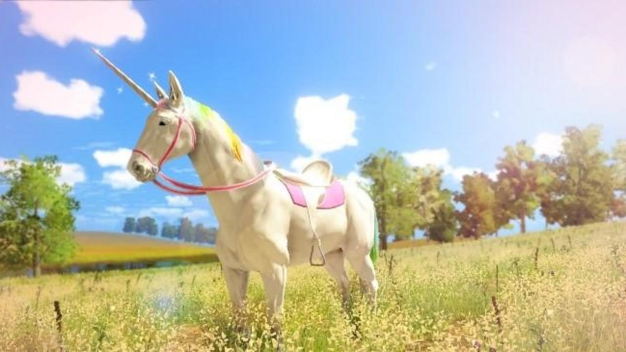 The Unicorn Princess